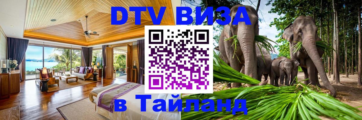 Сколько стоит DTV виза — актуальные цены, оформление даже без документов - 20.11.2025 